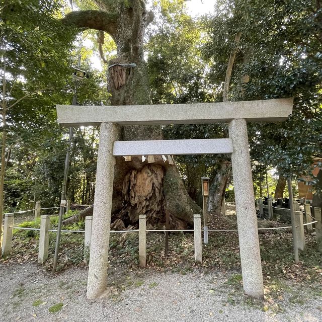 【三重県】松阪神社を参拝！！