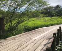 箱根湿性花園