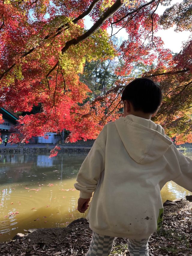 こどもの国🌳