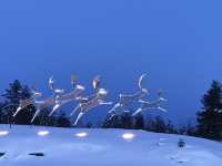 Rovaniemi Airport 