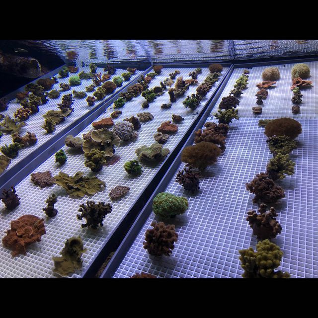 พามาเที่ยว New York Aquarium ค่ะ