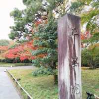 秋の平等院鳳凰堂　宇治