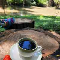 Thai Onsen, Doi Saket Hot Spring
