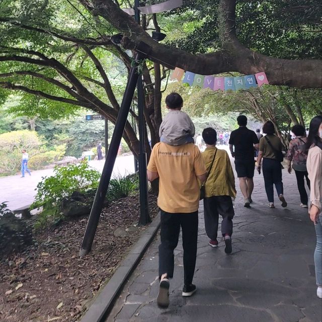 짧게 방문할 곳이 필요하다면  천지연폭포 추천해요👍🏻