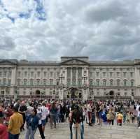 The king's palace 👑