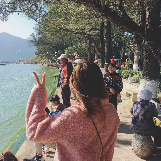 มาดูนกที่ทะเลสาบเตียนฉือ คุนหมิง