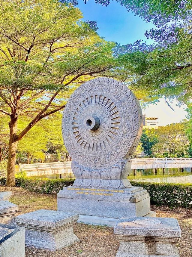 ต้นพระศรีมหาโพธิ | วัดพระศรีมหาธาตุ|กรุงเทพมหานคร