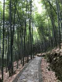 A small & relaxing Hike in Ningbo