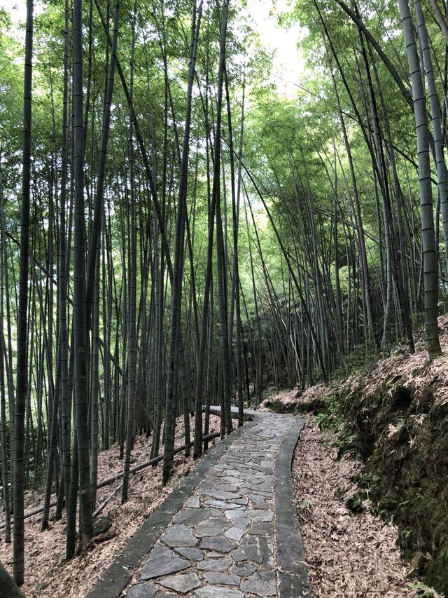 A small & relaxing Hike in Ningbo