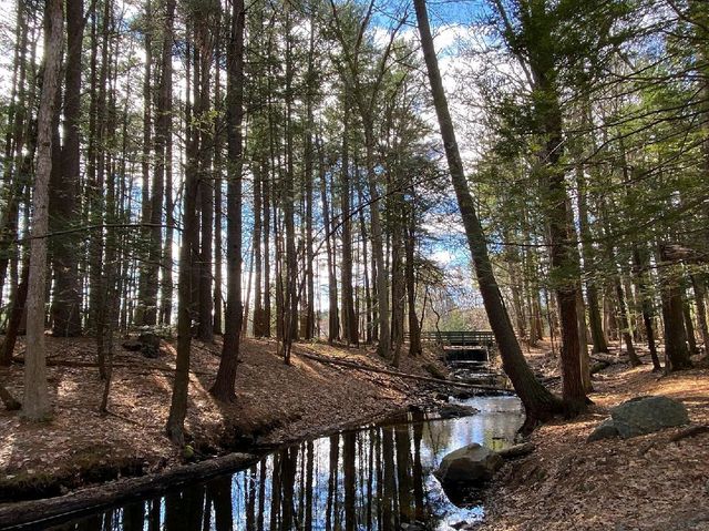 Mine Falls Park