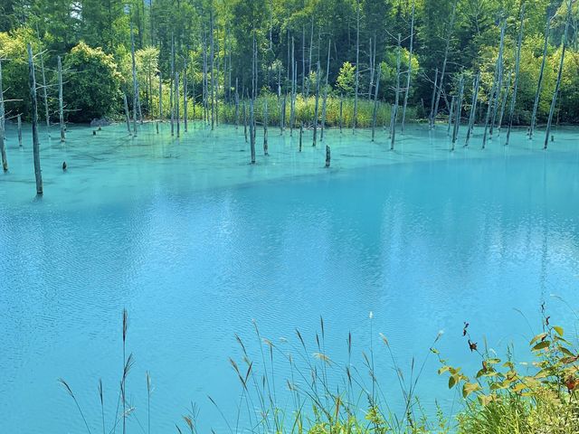 【北海道観光】北海道といえばココでしょ！？