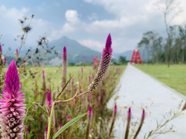 嘉義大埔景點-西拉雅國家風景區情人公園