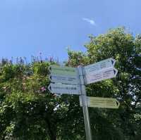 荔枝角公園