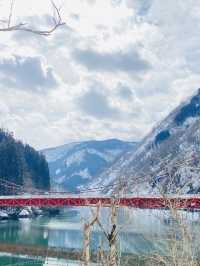 【富山】絶景の雪景色