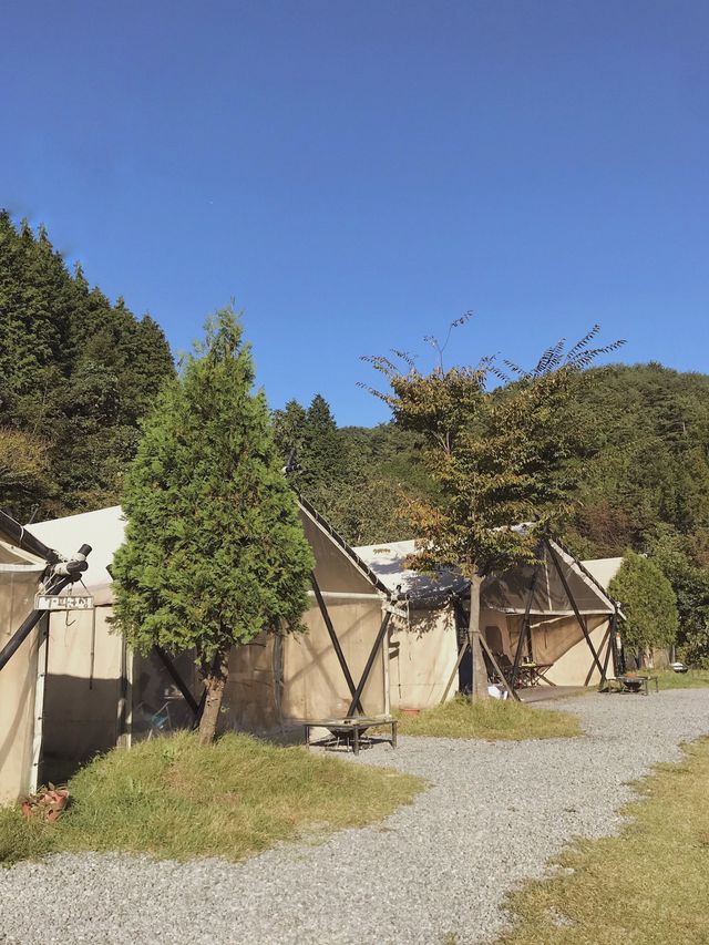 이색 숙소를 찾는다면, 장성 "라온 글램핑"