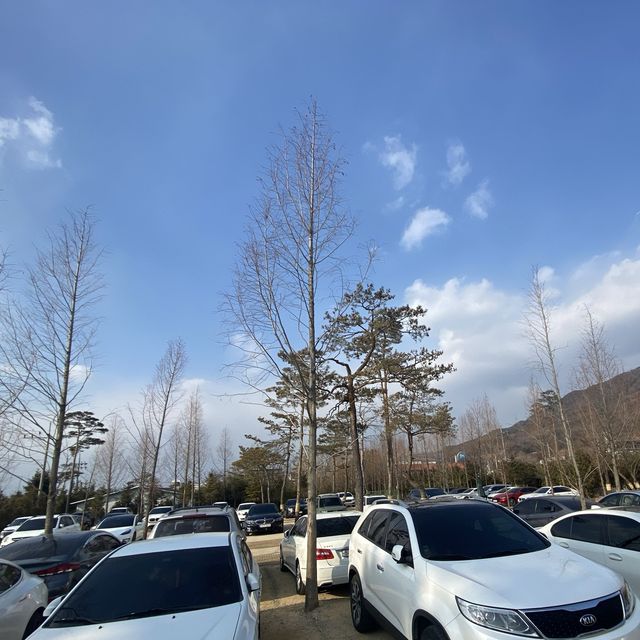 [남양주] 리버뷰 카페 "폴콘 리버가든 팔당" ☕️ 