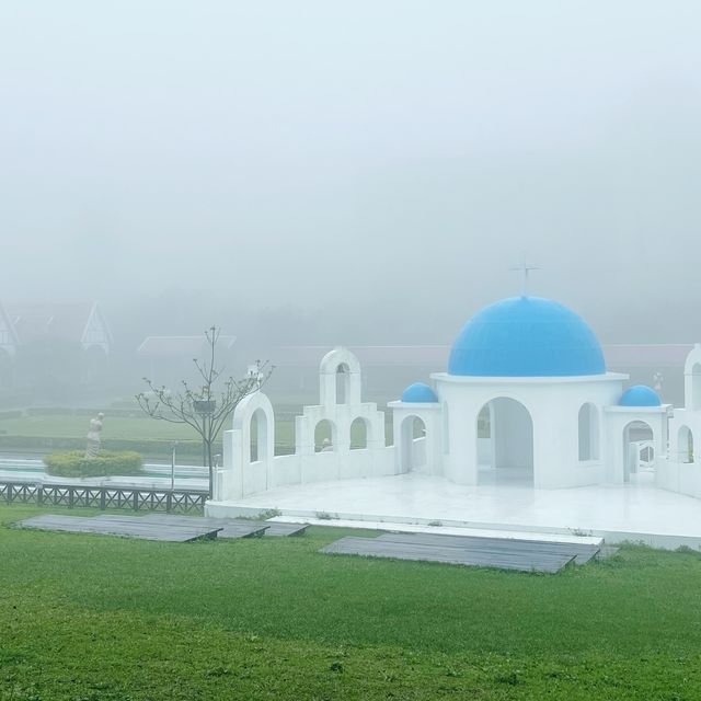 雲霧仙境～原來可以這麼靠近