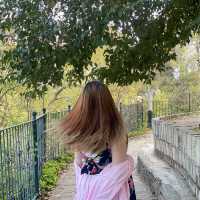 Antalya City Tour with BTS Travel Agency