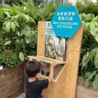 夏日快閃機動恐龍展 + 玩具圖書館恐龍主題