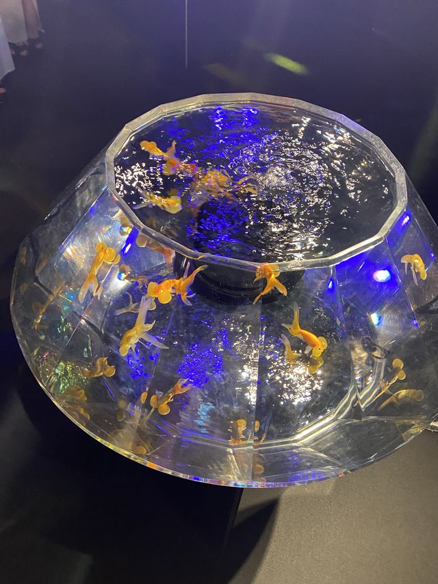 【インスタ映え】金魚ミュージアム