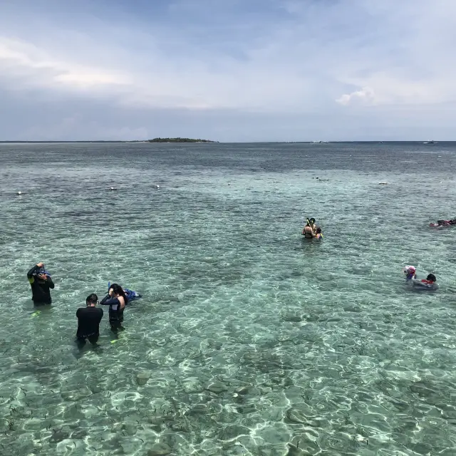 동남아여행 추천, 세부 다이빙여행✈️