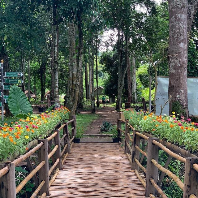 Green Jungle park 