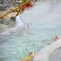มาต้มไข่ออนเซ็นที่บ่อน้ำพุร้อนกัน ⛲