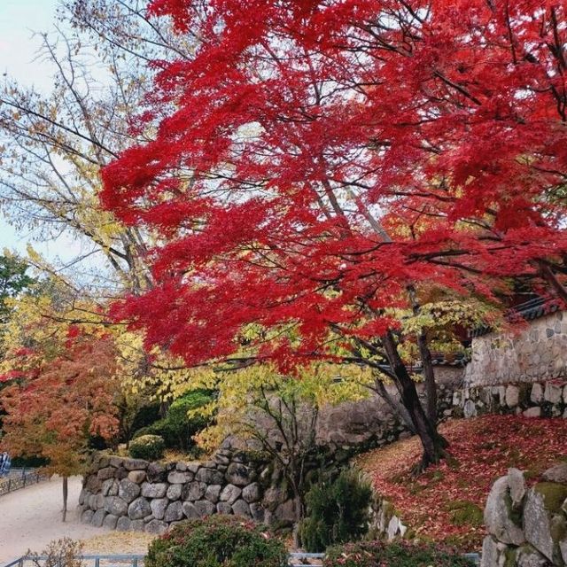 Colours at Bulguksa Temple  Gyeongju
