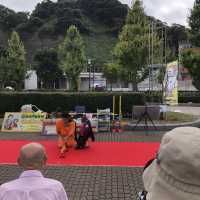 【ヴェルニー公園】