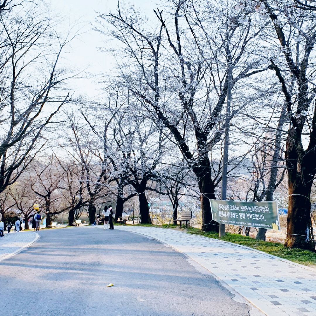 Jeonju Zoo