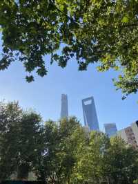 The Towers of Shanghai