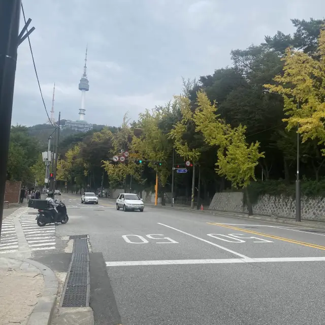 Wonderfull Namsan Park  