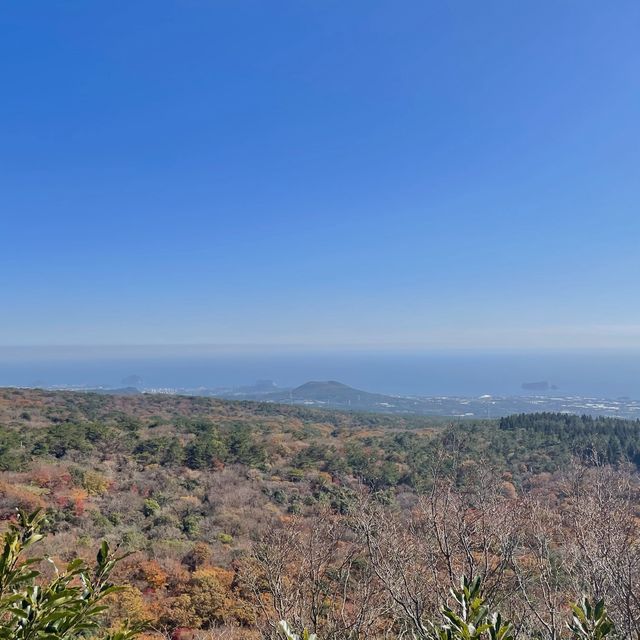 바다반 산반⛰