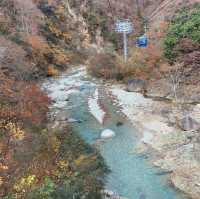 苗場はもう晩秋🍁日本最長ゴンドラ