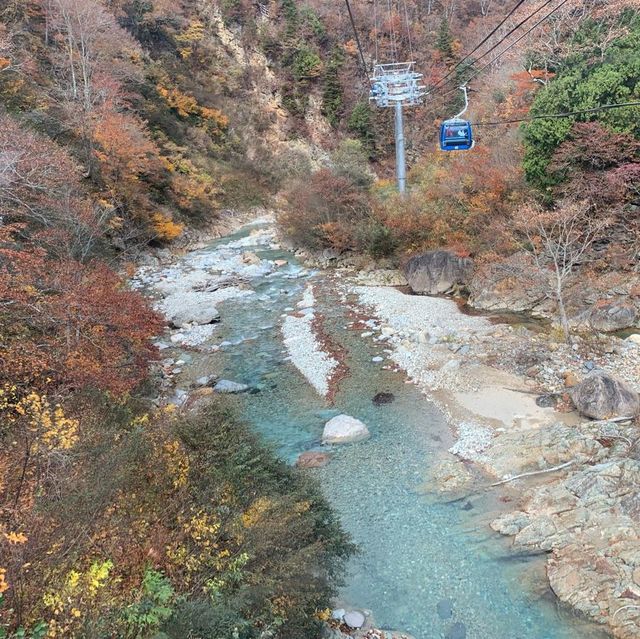 苗場はもう晩秋🍁日本最長ゴンドラ
