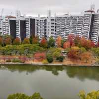 広島城　紅葉