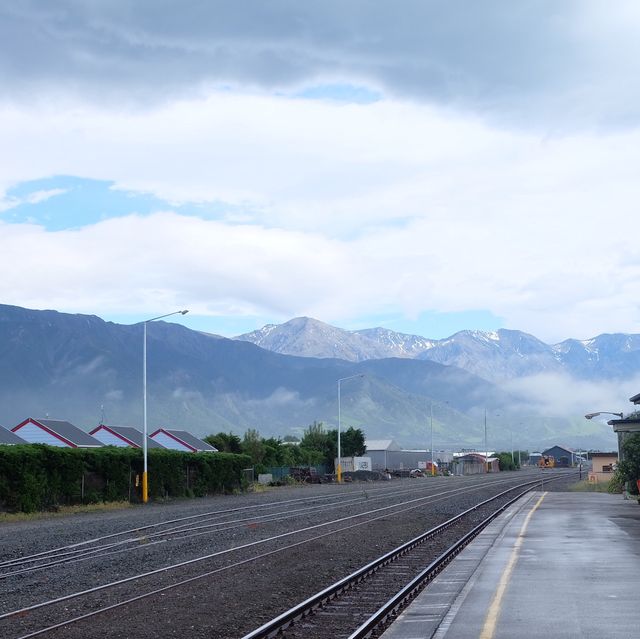 Last weekend at Kaikōura 