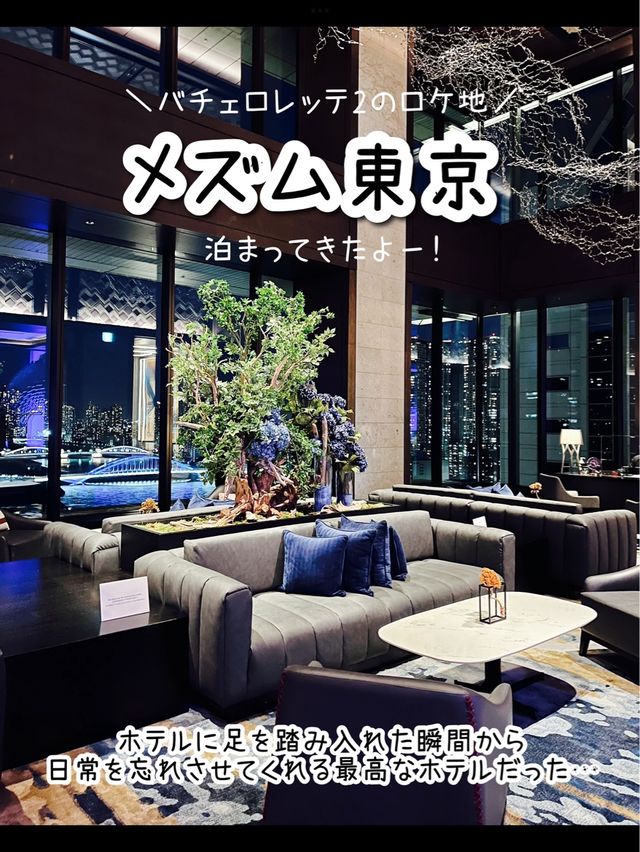 【東京】ラグジュアリーな空間✨メズム東京