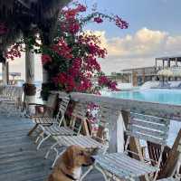 chilled heaven 