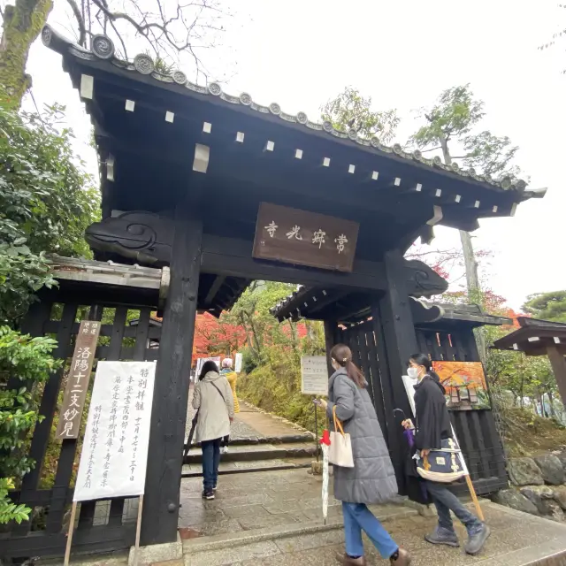 盛茂紅葉中體驗靜謐境界 – 常寂光寺