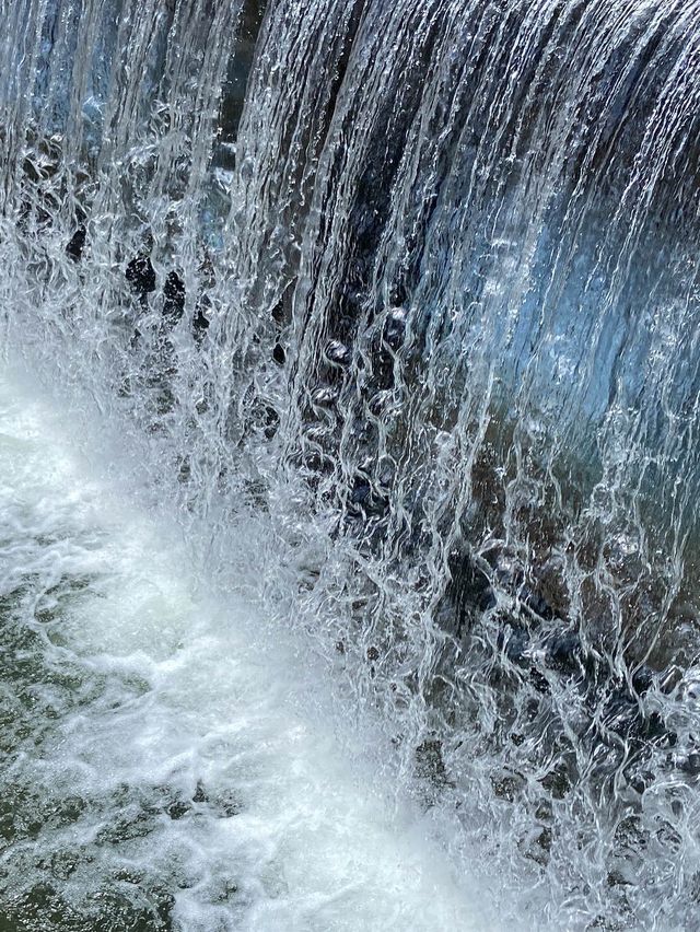 여름에는 청계천에서 탁족을☀️💦