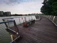 Jurong Lake Floating Wetlands - Part 1