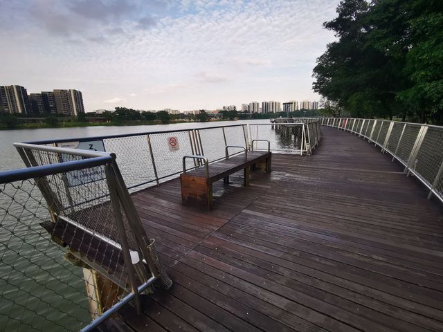 Jurong Lake Floating Wetlands - Part 1