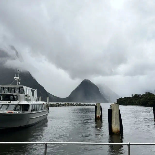 NZ 紐西蘭 南島 米佛峽灣 Milford Sound