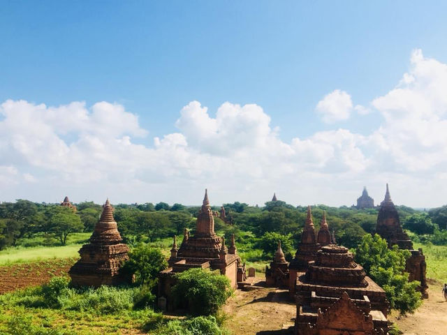 WONDERFUL BAGAN