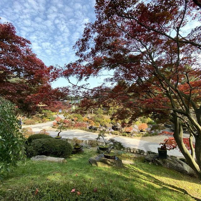 Garden Of The Morning Calm 🇰🇷