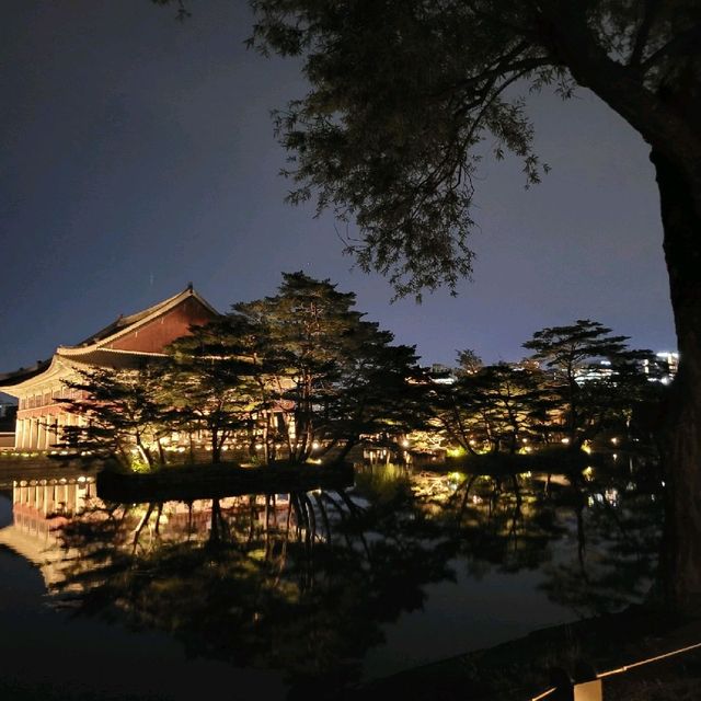 말해뭐해, 경복궁 야간개장✨