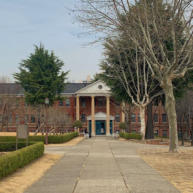 [대구광역시] 해외느낌 가득, 계명대학교 대명캠퍼스