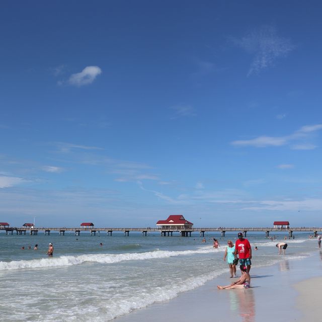 꼭가야할 세계 10대 해변 중 하나 클리어워터 비치 🏖