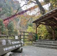 【富山】トロッコ電車に乗って出逢えた秘境